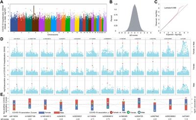 Genome-wide screening of sex-biased genetic variants potentially associated with COVID-19 hospitalization